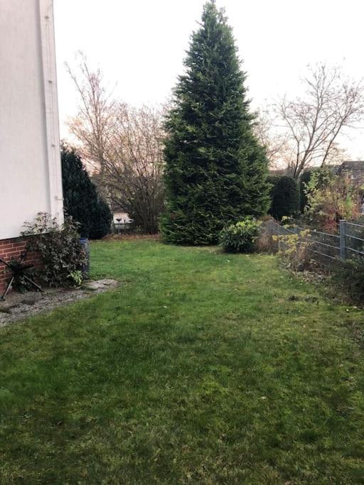Ferienwohnung Bergbluete Braunlage Kültér fotó