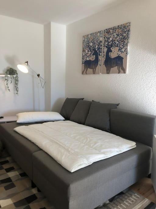Ferienwohnung Bergbluete Braunlage Kültér fotó